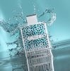 Rayhaan Aquatica (100 ML) Eau de Parfum