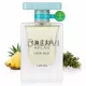 Lattafa Atlas Glacial Valley (55 ML) Eau de Parfum