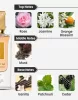 Lattafa Ana Abiyedh Poudree (10 ML) Eau de Parfum