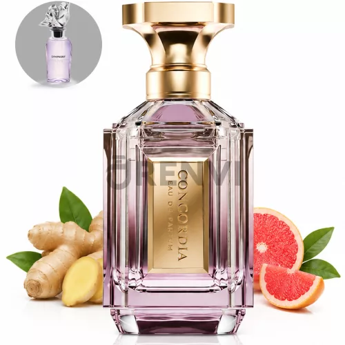 Velixir Concordia (100 ML) Eau de Parfum